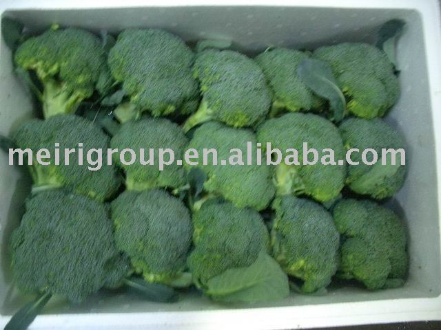 fresh broccoli