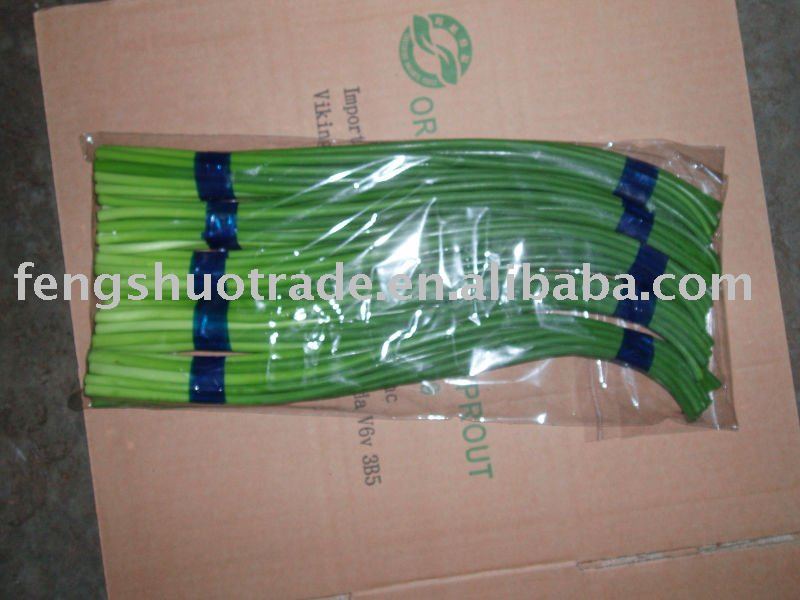  fresh   garlic   stem s