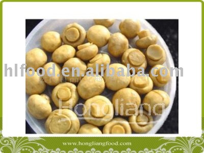 fresh white button mushroom