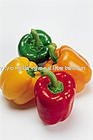  fresh   paprika 