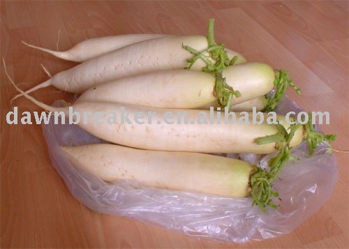 Turnip (fresh turnip /white turnip ),China Dawnbreaker price supplier ...