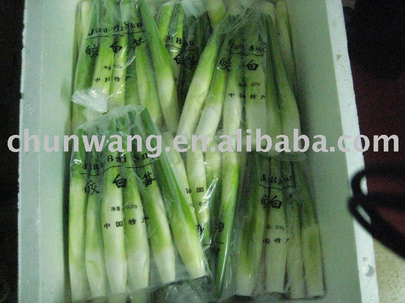 fresh wild rice shoots,China chunwang price supplier - 21food