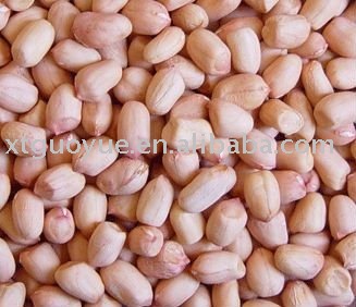 Peanut
