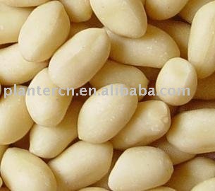 Chinese Blanched Peanut