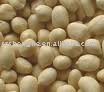 Chinese round shaped blanched peanut kernels