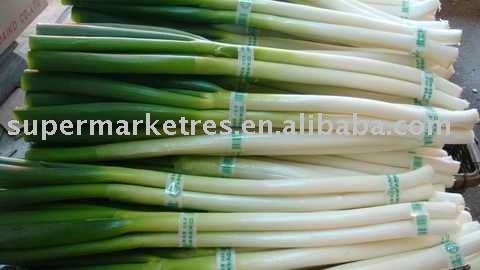 shallot