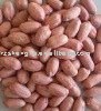 Chinese new crop peanut kernels