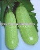 Sheng Yuan Te Zao Zucchini