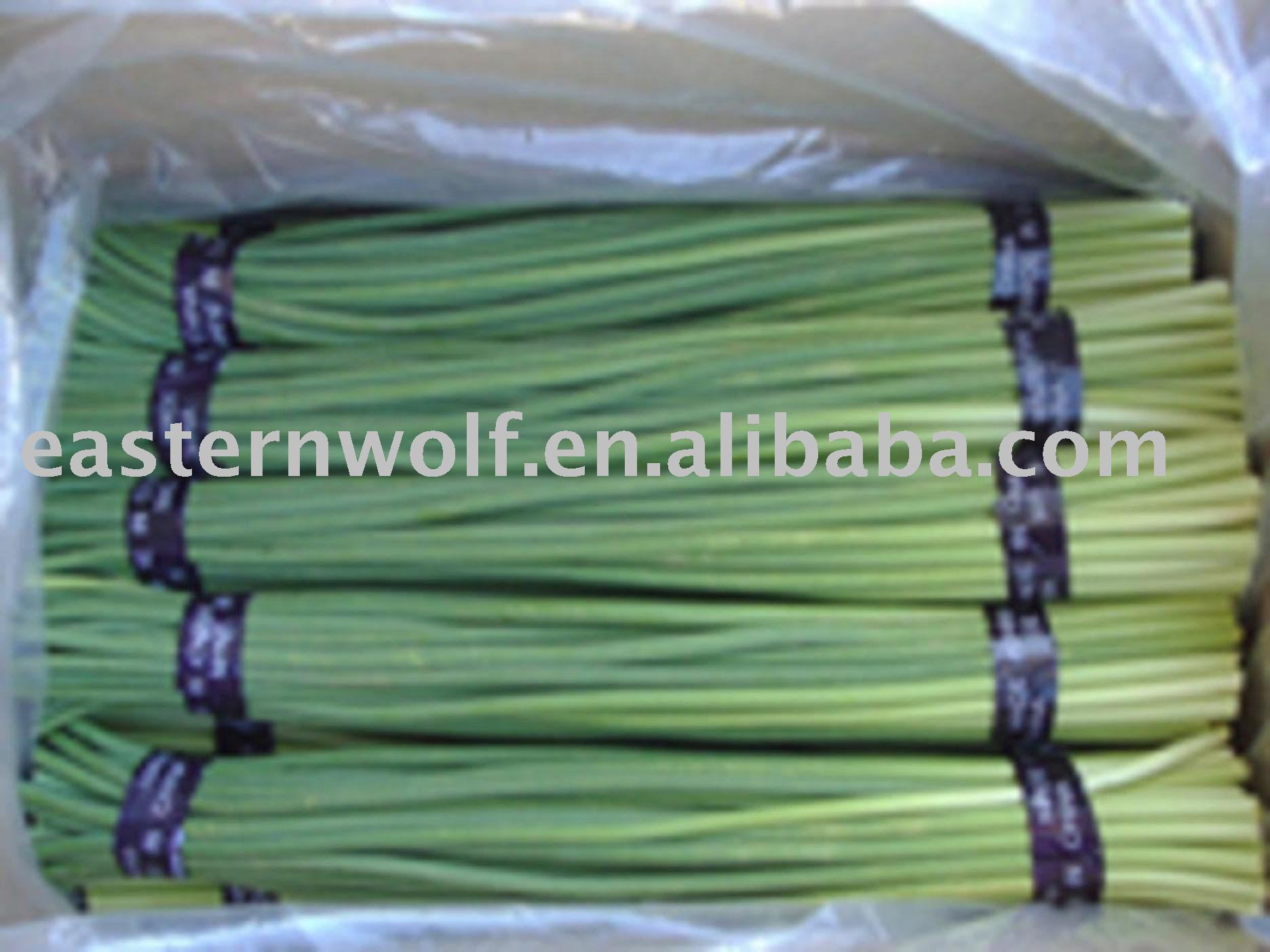 Fresh Chinese Garlic Stem in Carton,China EASTERNWOLF price supplier ...