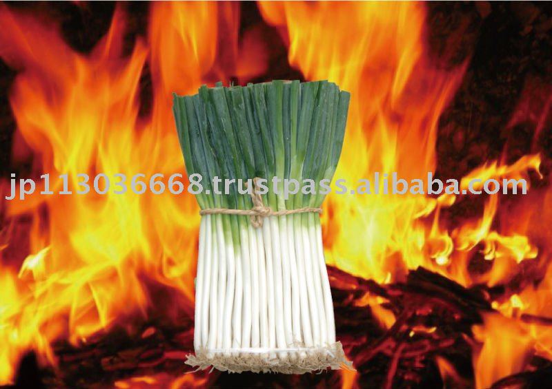 green onion   edo senjyunegi (japanese  Tradition vegetable)