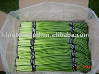 Garlic sprout