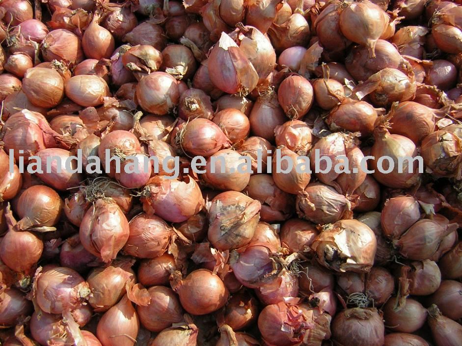 Dried Red Shallot