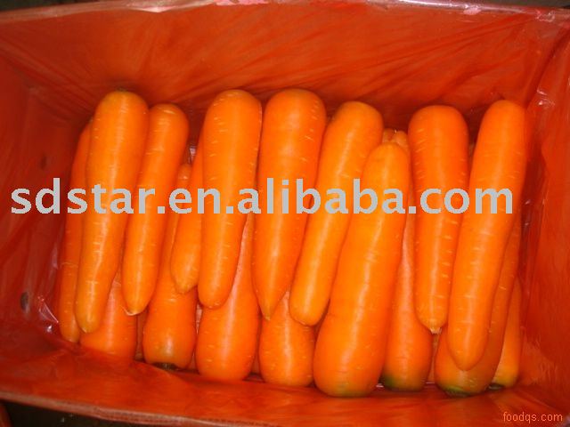 chinese carrot