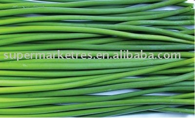Garlic shoot of  china