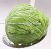 Indian Fresh Vegetables