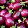 brinjal