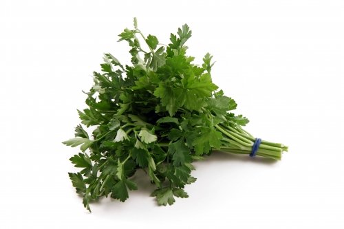 Parsley  ( Fresh Parsley )