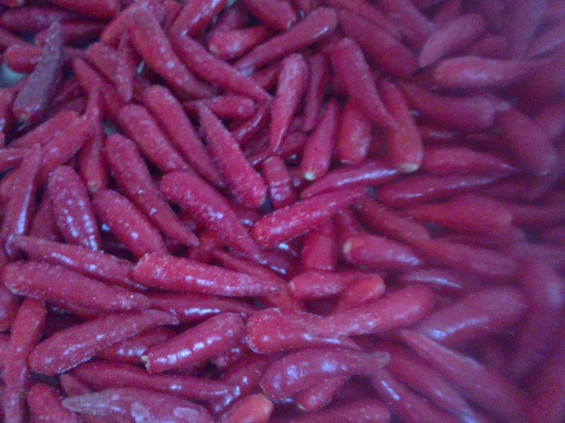  Frozen   red   chili 