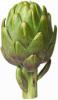 Artichokes