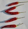 chili