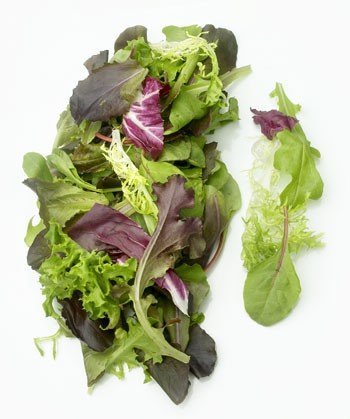 fresh vegetables:LETTUCES