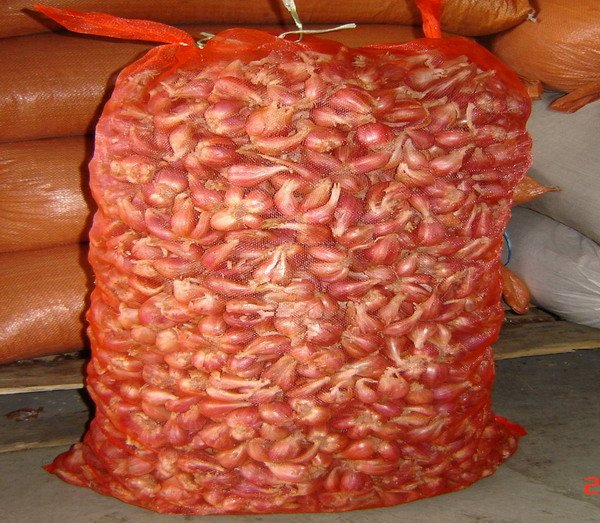 fresh shallot-purple red
