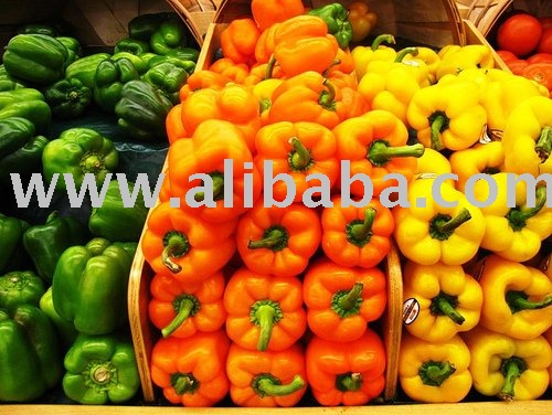 Green , Orange, Yellow, Peppers, Fresh Pepper Parade