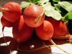 beetroots
