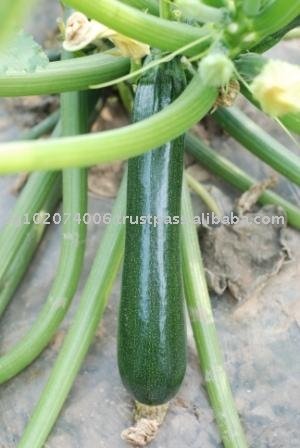 Zucchini Falkes Diced