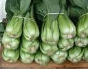bok choi