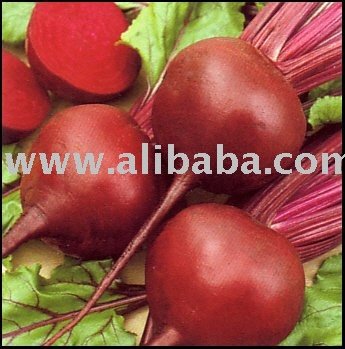 Beetroot
