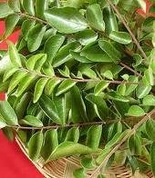  Curry   Leaves 