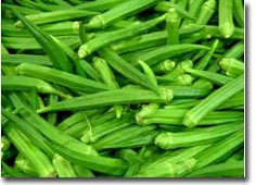 Lady Finger