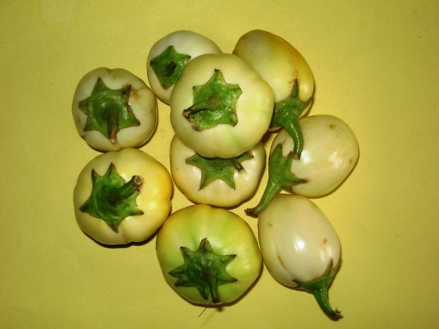 Natural and fresh eggplant