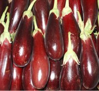 Aubergines(Baby or Medium)