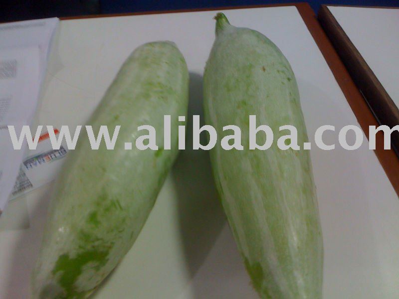 Snake gourd
