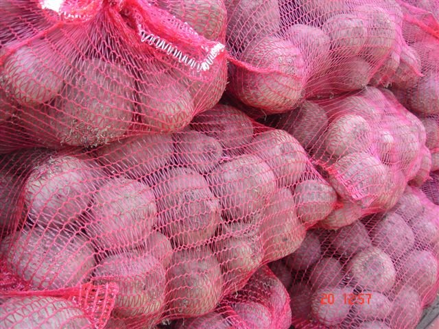 Beetroot