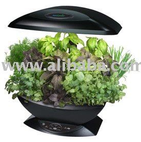 Fresh Culinary Herbs