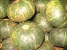fresh sweet pumpkin origin Vietnam