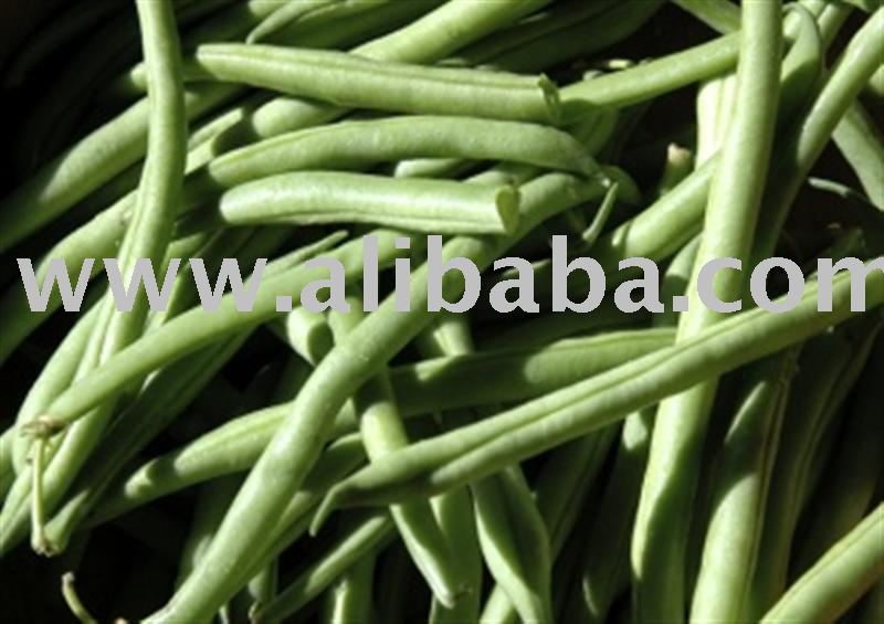 Beans Judias verdes