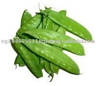 Fresh Green Peas