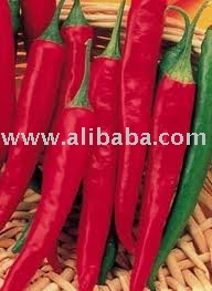 CAYENNE PEPPER