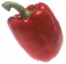 Hot Pepper