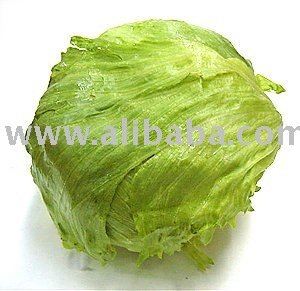 Lettuce