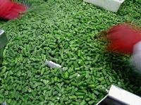  IQF   whole   green   bean s FOR SALE