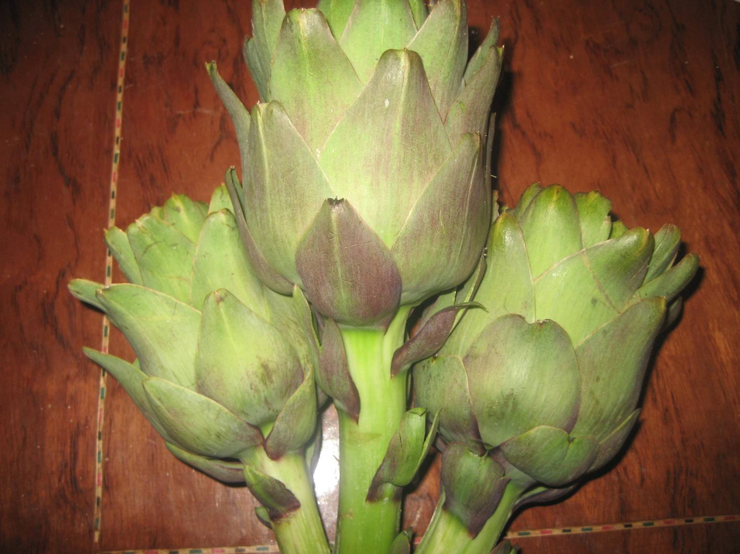 artichoke