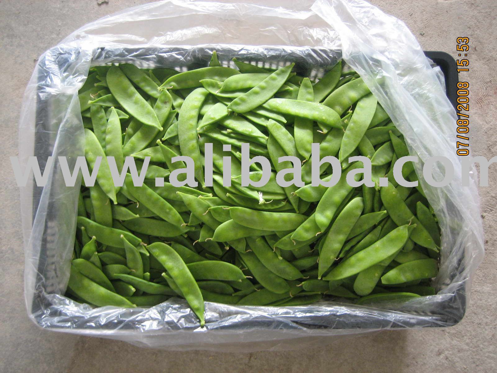  Fresh   Snow  pea