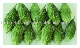 Small Bitter  Melon  ( Gourd )