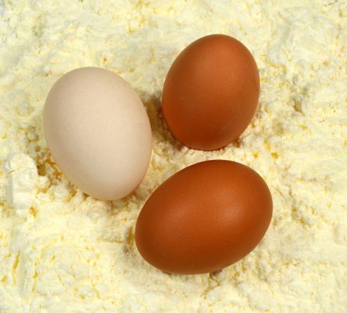 Egg Albumen Powder products,China Egg Albumen Powder supplier