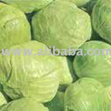 Cabbage